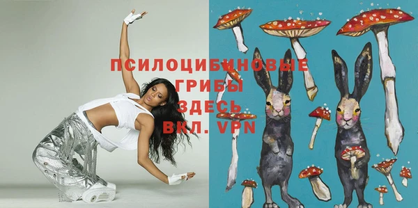 спайс Арсеньев