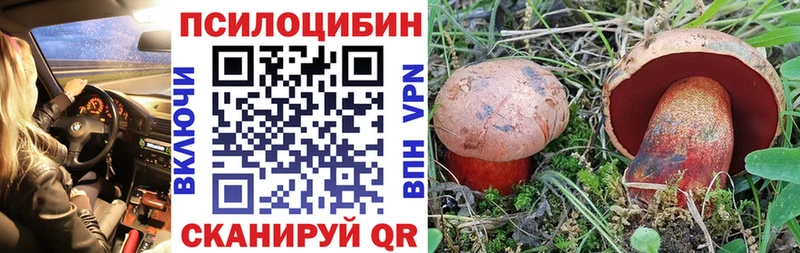 Галлюциногенные грибы Psilocybine cubensis  Купить закладки  Новоульяновск 